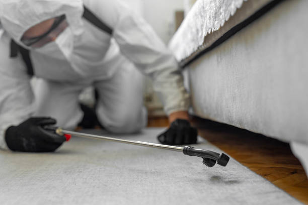 Professional Termite Control technician working in Edgecombe County County, NC